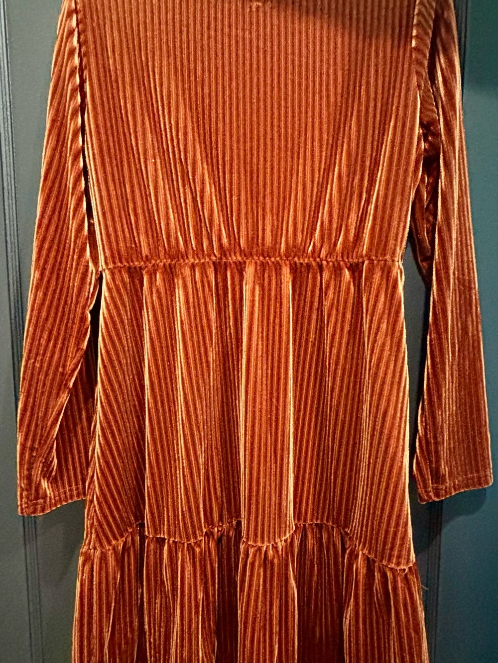 SHEIN Rust Velvet Long Sleeve Maxi Dress - Picture 4 of 5